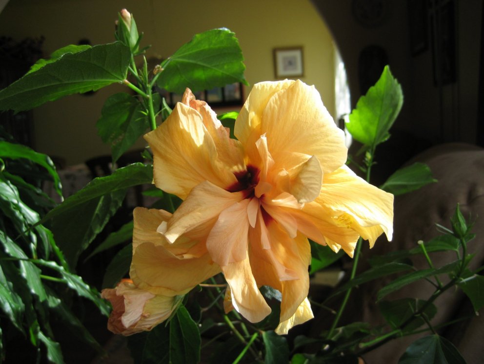 Ljósmynd: Ólafur Bernódusson