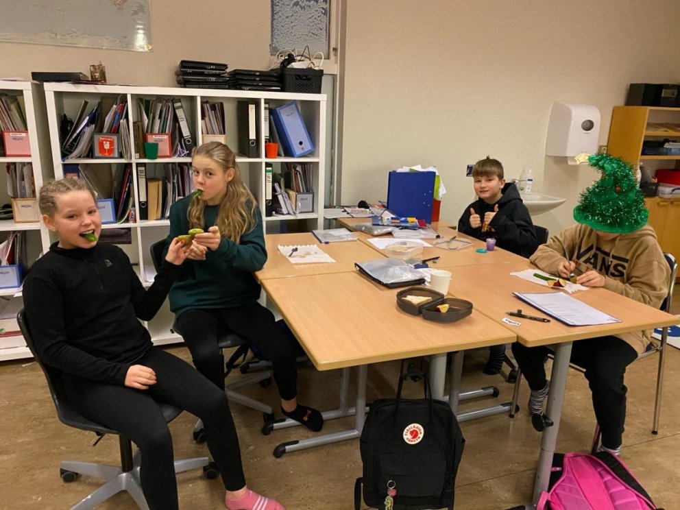 Mynd fengin að láni frá www.hofdaskoli.is