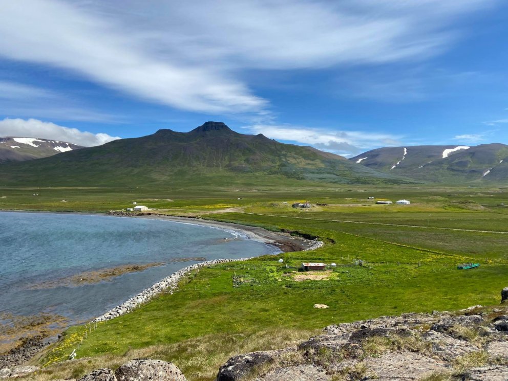 Plokkdagurinn 30. apríl 2023