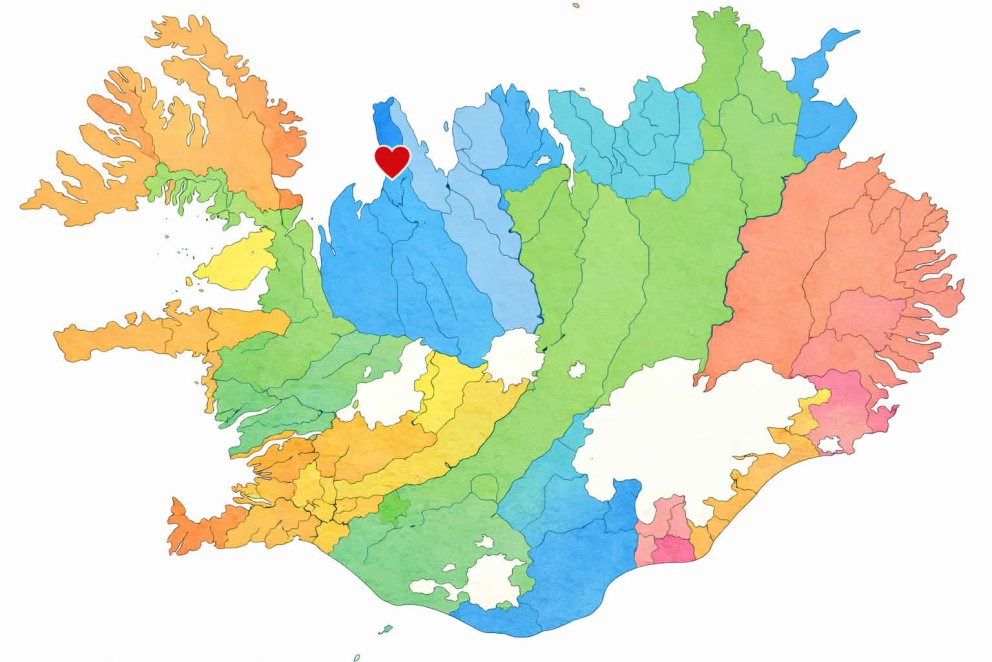 Auglýsum eftir listamanni!