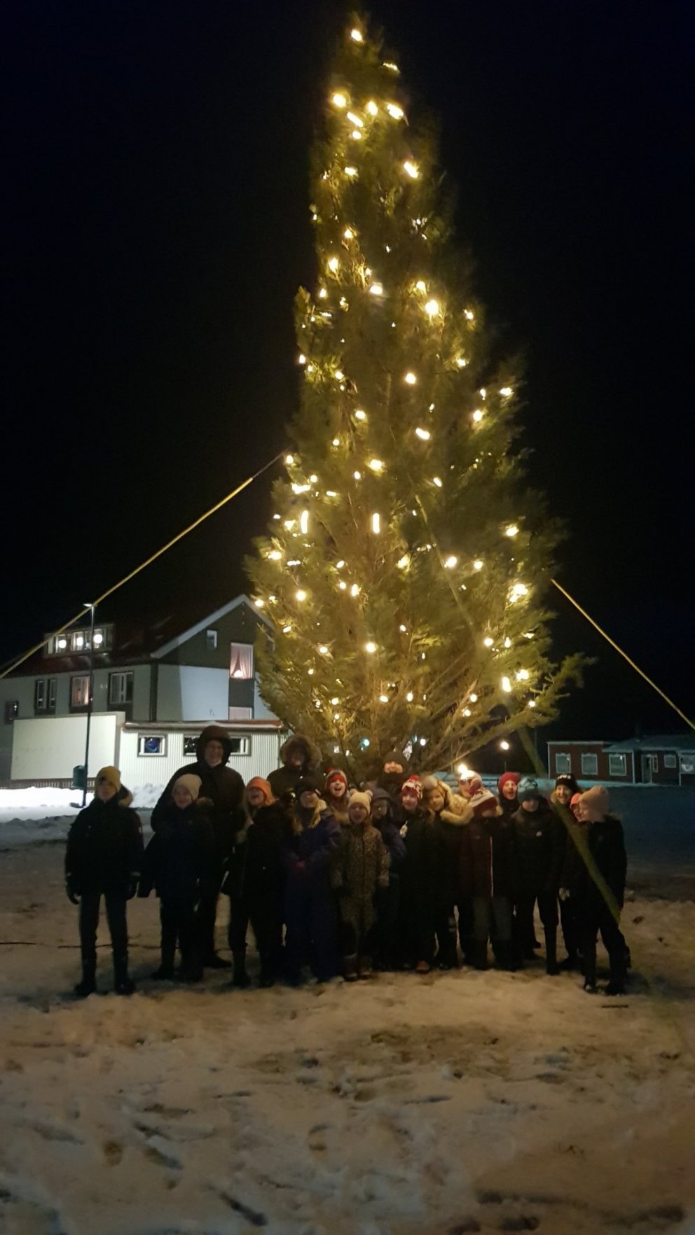 Ljósin tendruð á jólatré á Hnappstaðatúni