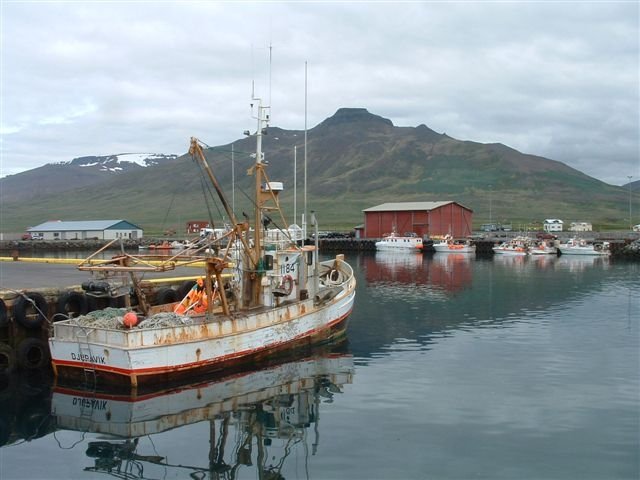 Mannlíf og fiskveiðar.