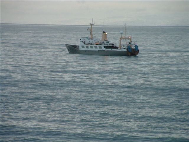 Tundurdufl sprengt í Hrafndal