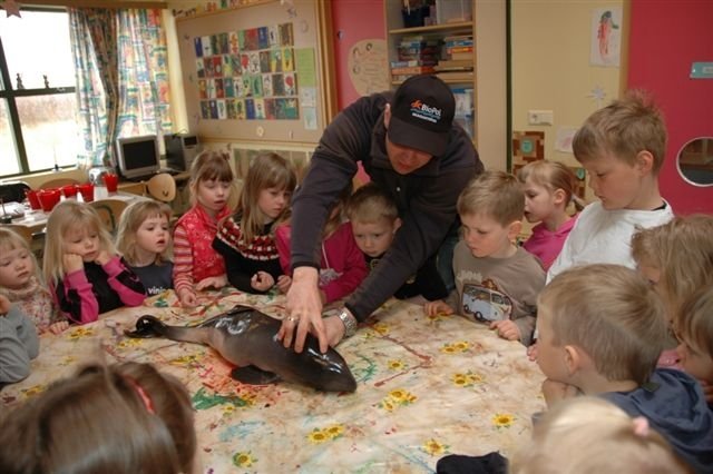 Hnísukálfurinn Sævar fer í leikskóla