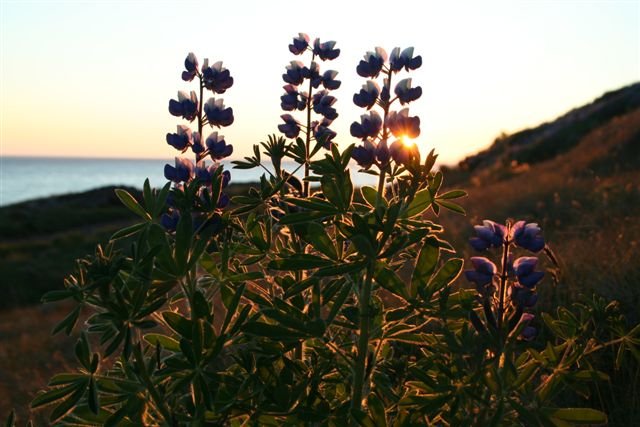 Verðlaun í ljósmyndasamkeppninni