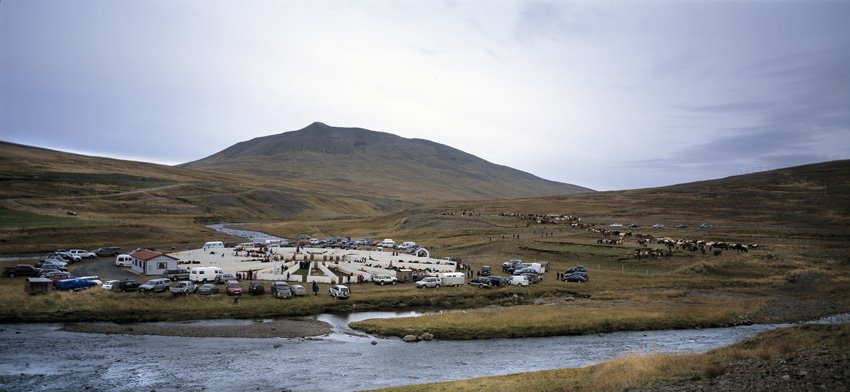 Ævintýrið Skrapatungurétt 2008