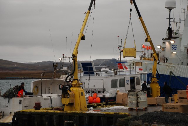 Mikið at í Skagastrandarhöfn