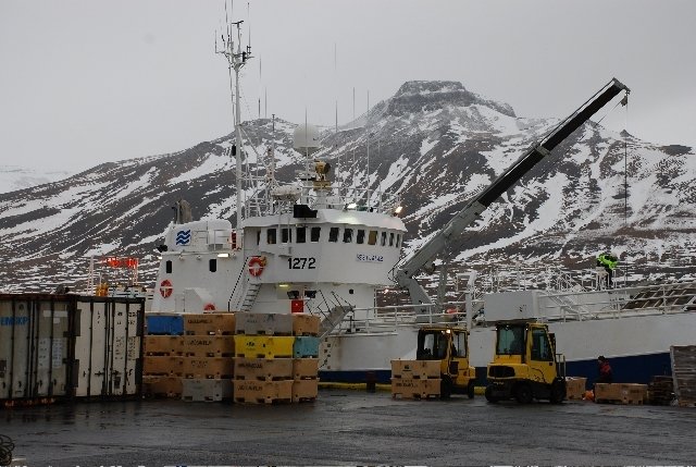 Fiskur - fiskur - fiskur