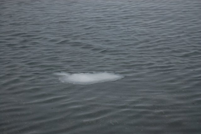 Listin: Hinn kaldi klaki, íslandið, sjósettur