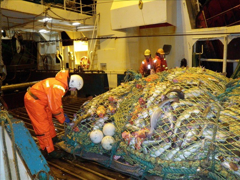 Aflaverðmæti Arnars meira en allt síðasta ár