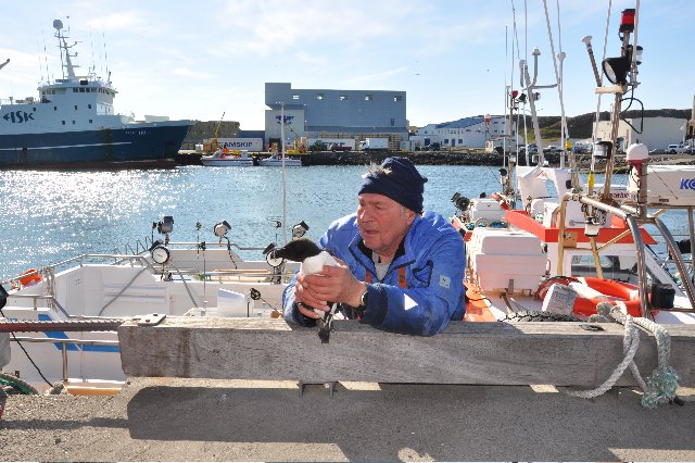 Allt að þrjátíu bátar leggja upp á Skagaströnd