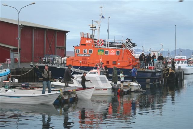 Makríll óð í Skagastrandarhöfn