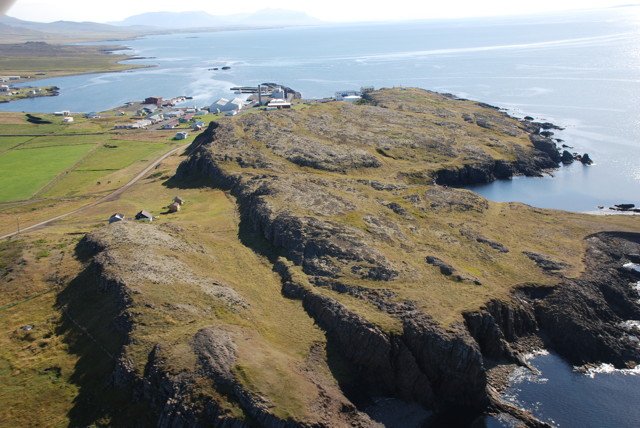 Mikil fjölgun gesta í Spákonufellshöfða