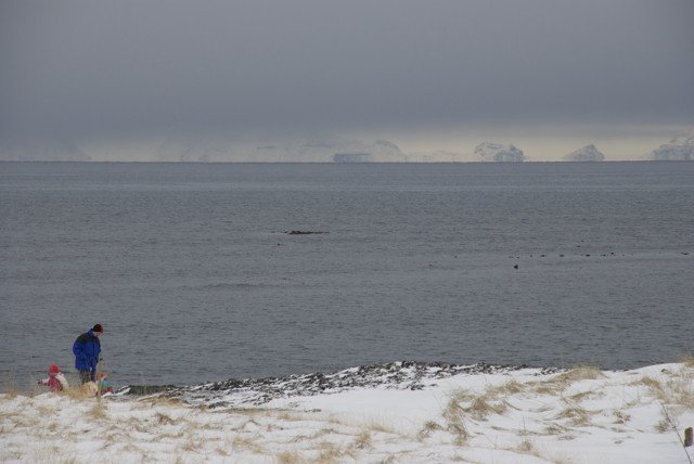 Áskorun um bætta umgengni og frágang