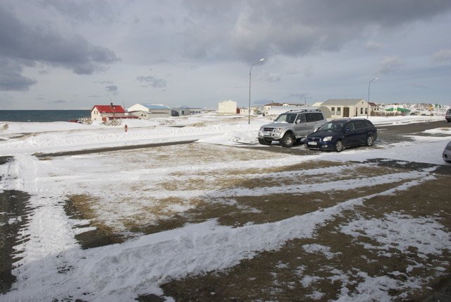 Brunahaninn galar ...