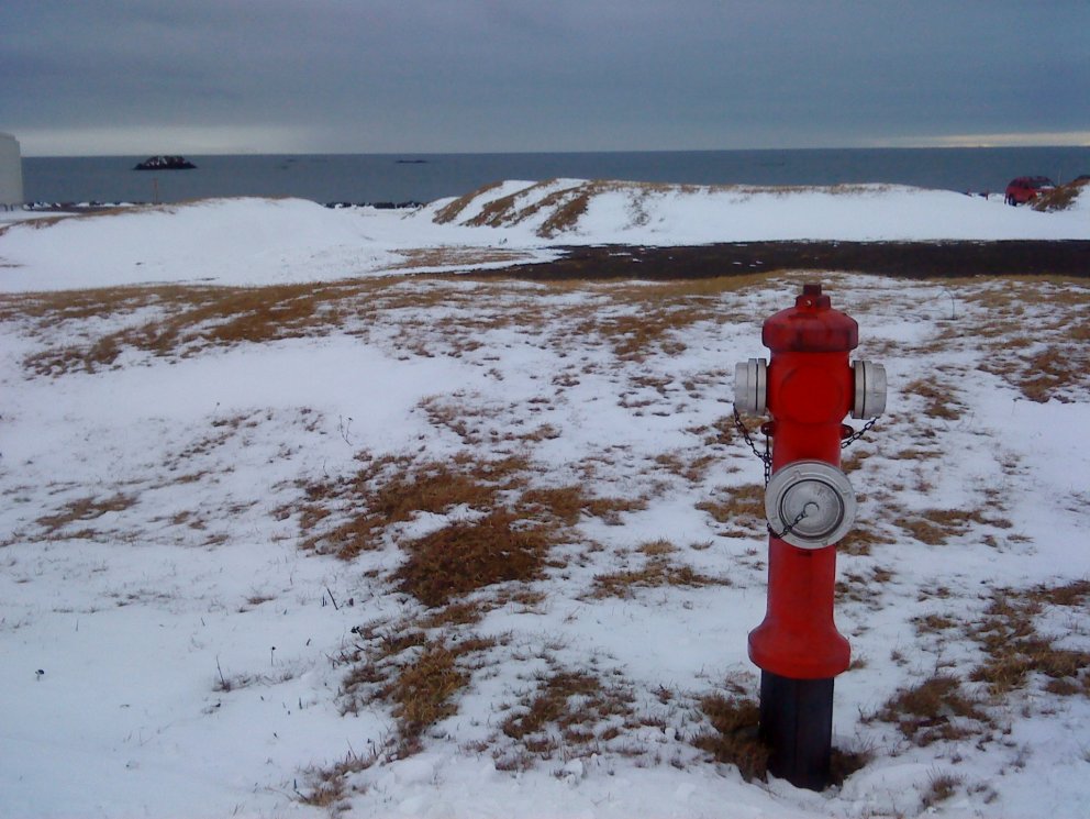 Brunahaninn hefur ekki forspárgildi