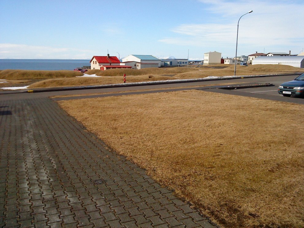 Vorið kom í morgun