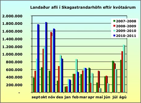 Landaður afli á Skagaströnd fer vaxandi