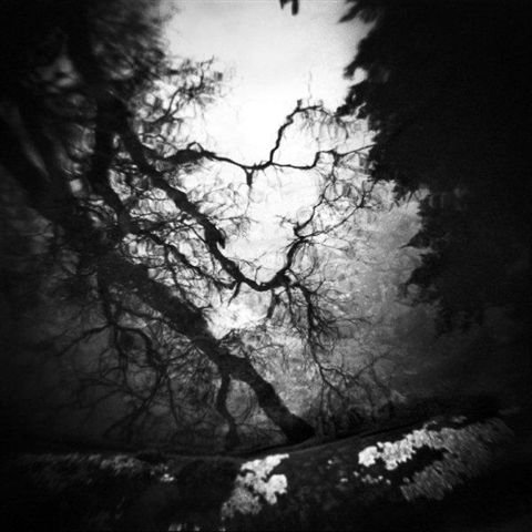 Ljósmyndasýning í Kaffi Bjarmanesi