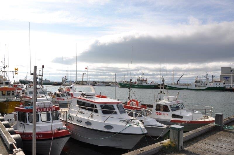 Landburður af fiski á Skagaströnd