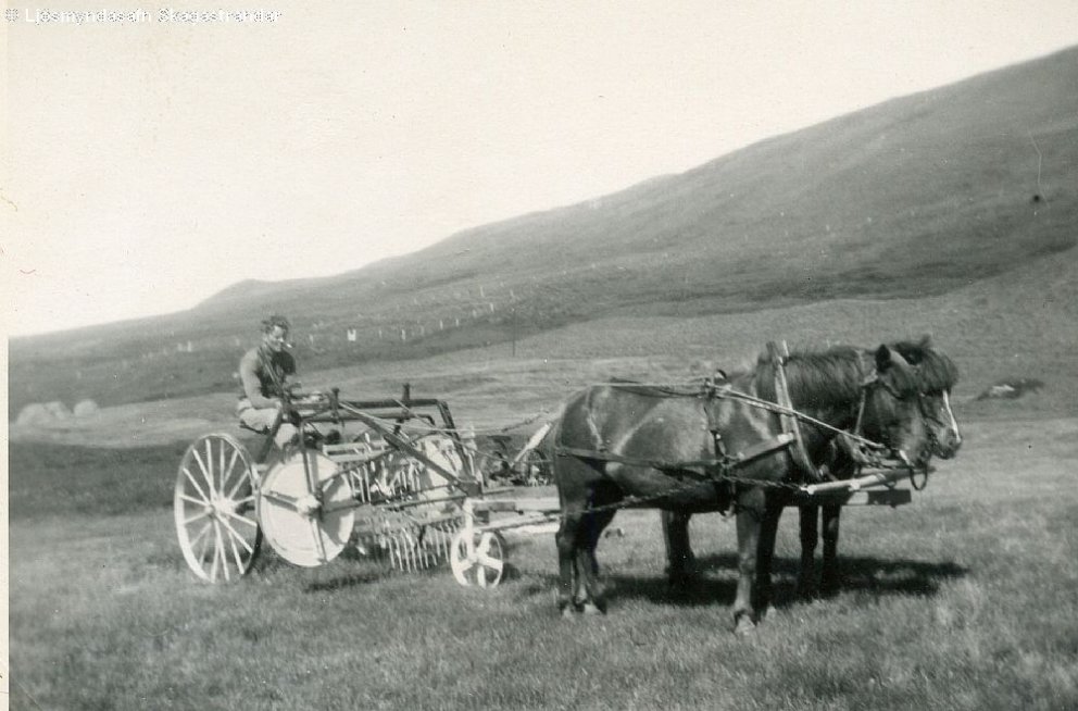 Mynd vikunnar: Heyskapur