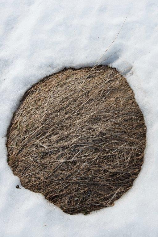 Ljósmyndasýning í Bjarmanesi