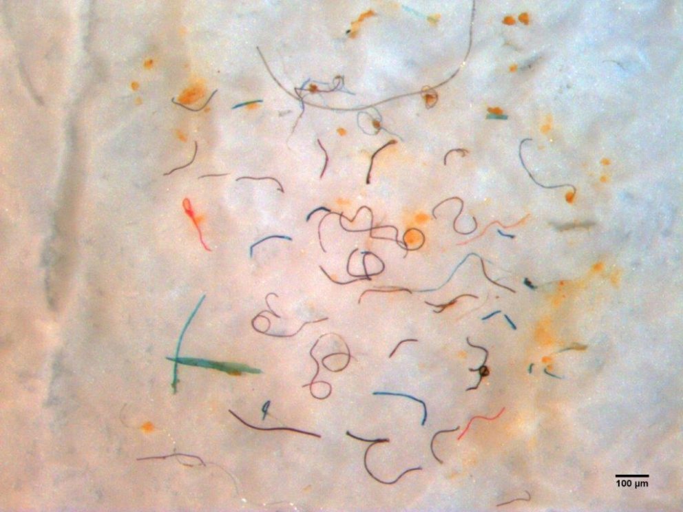 Rannsóknir á örplasti í Húnaflóa