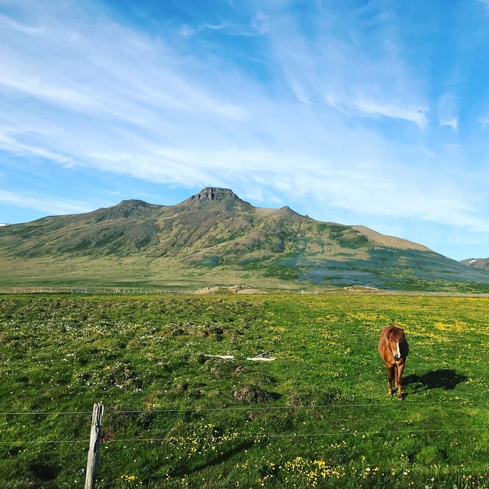 Óskað eftir flokkstjórum vegna vinnuskóla
