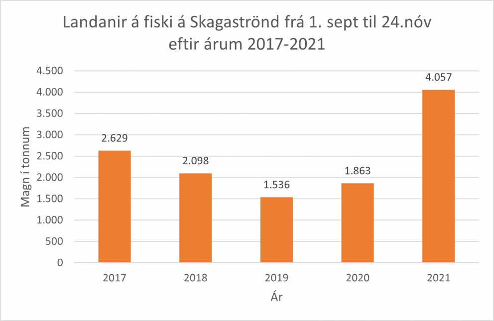 Góð aflabrög og aukin umsvif um Skagastrandarhöfn gleðja Skagstrendinga