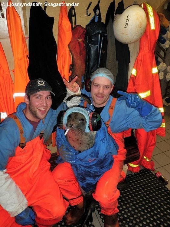 Ljósmynd: Arnar HU 1 - safn