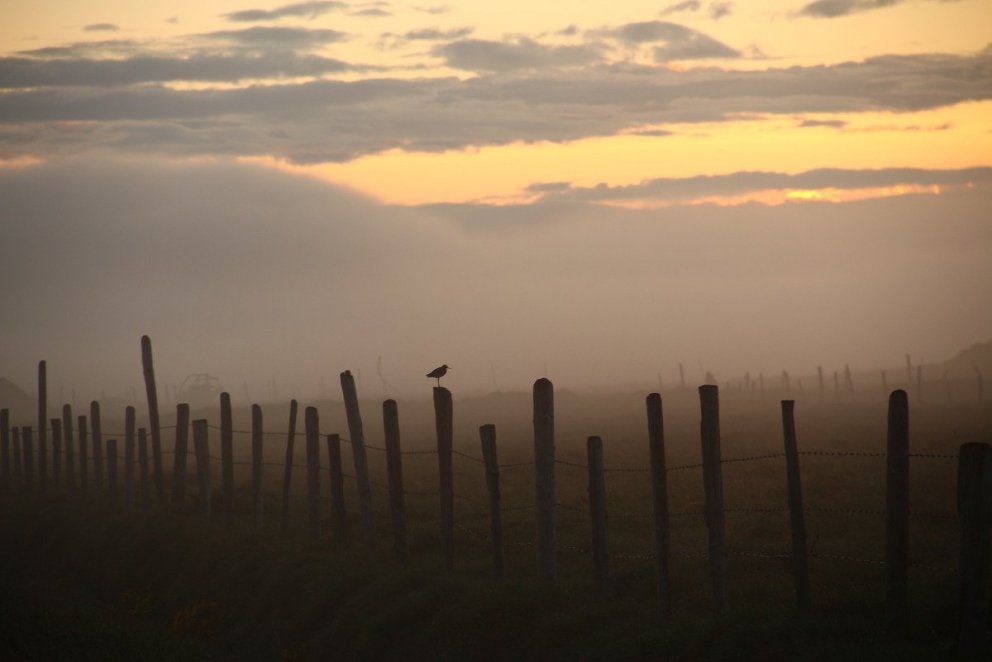 Ljósmynd: Árni Geir Ingvarsson