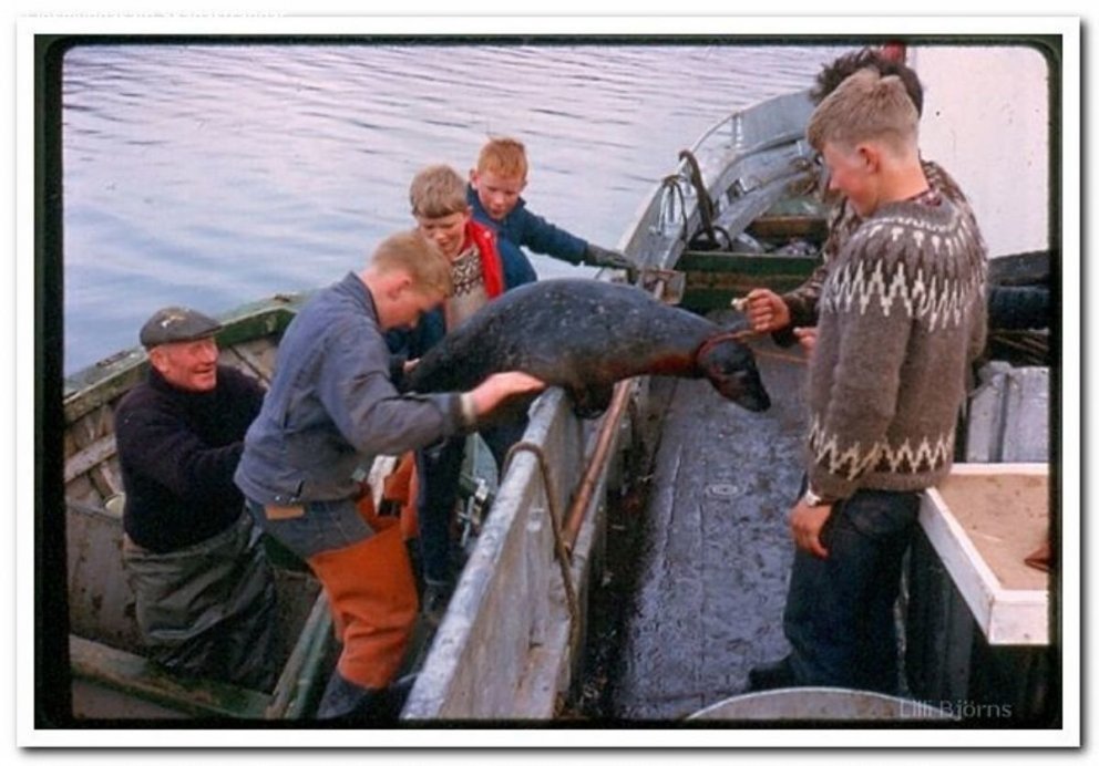 Ljósmynd: Þórarinn Björnsson