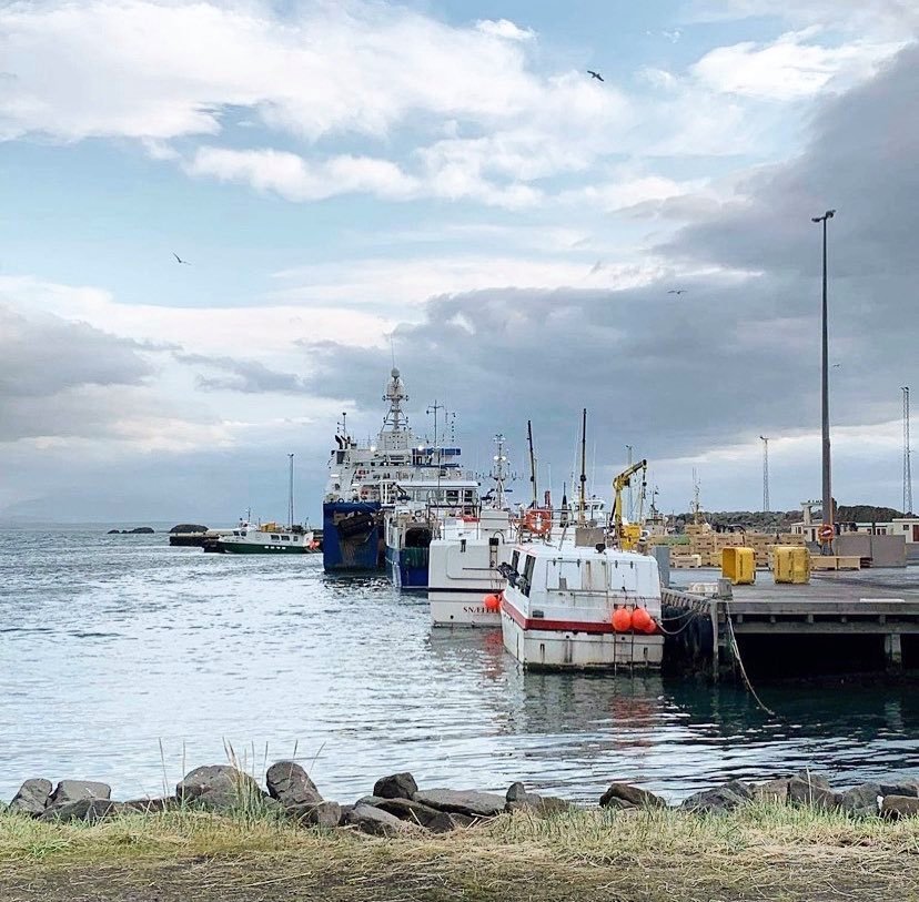 Ljósmynd: Reynir Lýðsson