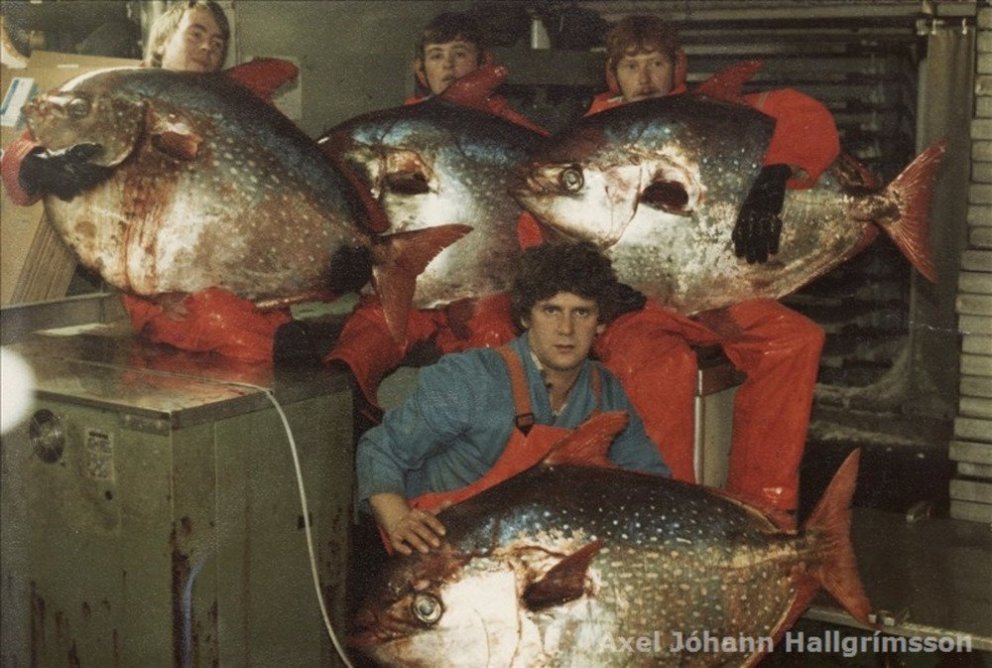 Ljósmyndar: Axel J. Hallgrímsson