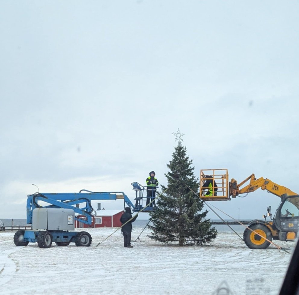 Ljósin tendruð á jólatrénu við Hnappstaðatún