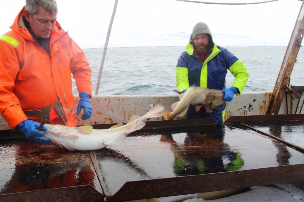 Ljósmynd: Janette Kerr