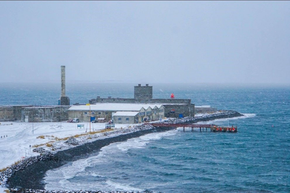 The Phoenix Factor – Fönix áhrifin