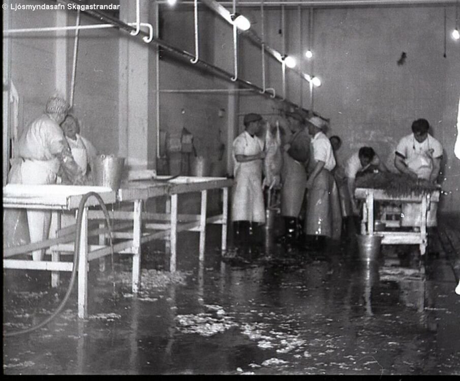 Ljósmynd: Guðmundur Kr. Guðnason