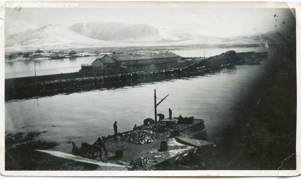 Ljósmynd: Hallgrímur Kristmundsson - safn