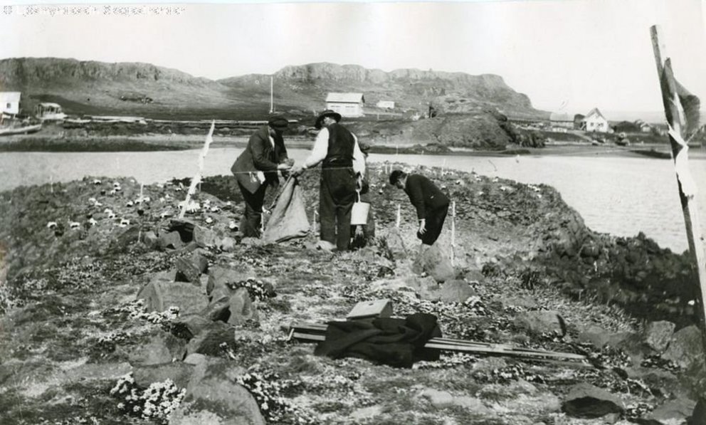 Ljósmynd: Evald Hemmert