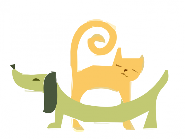 Skráning hunda og katta