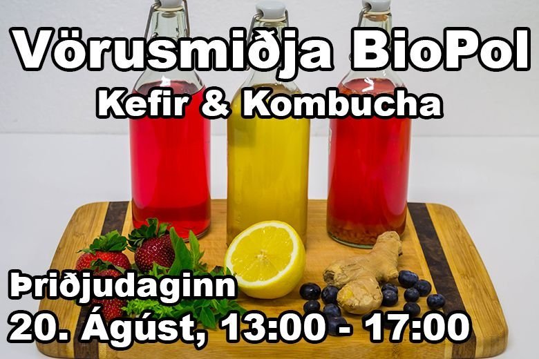 Mynd fengin að láni frá https://rettir.is/