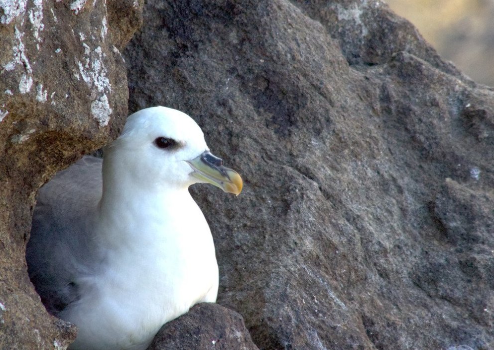 Ljósmynd: Hjalti Viðar Reynisson