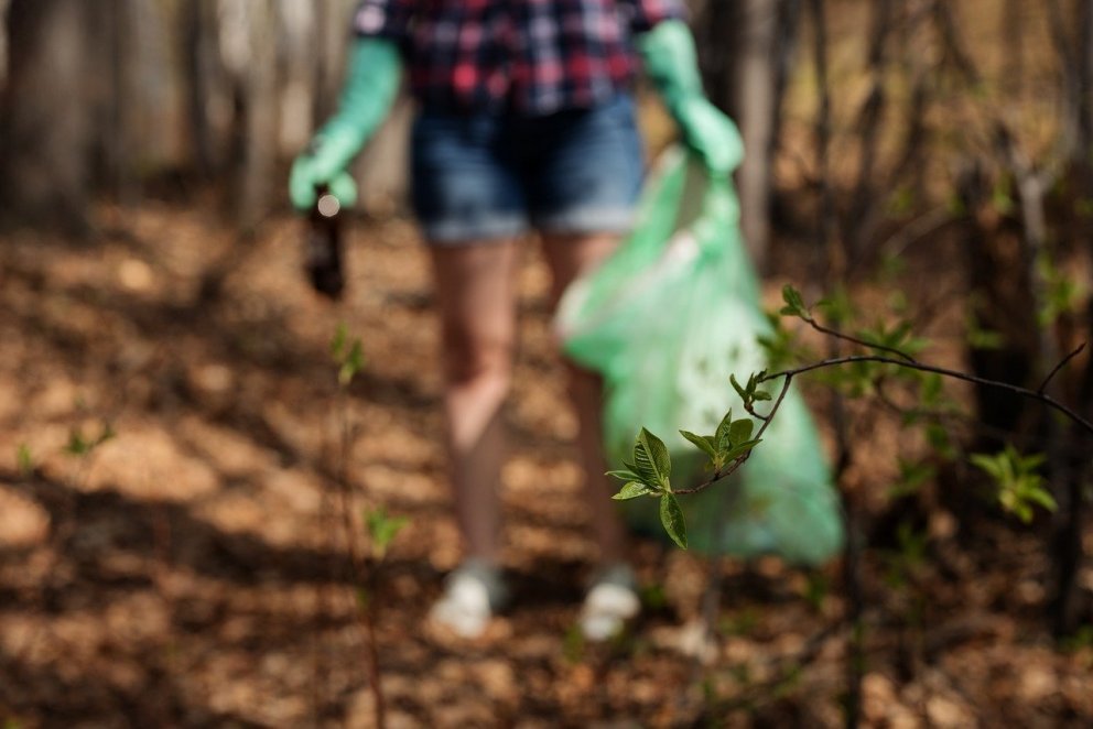 Plokkun á Skagaströnd