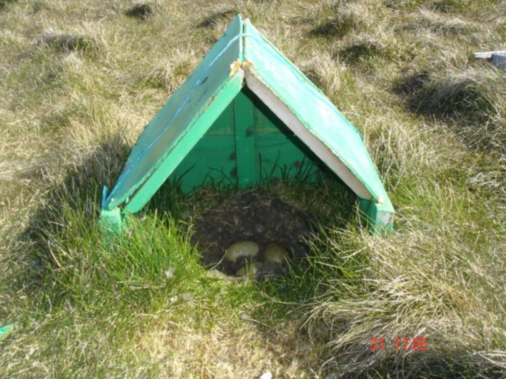 Ljósmynd: Ólafur Bernódusson