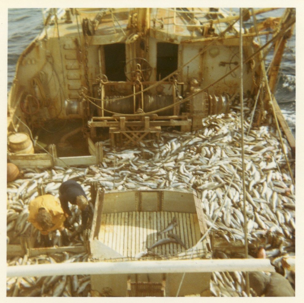 Ljósmynd: Ragnar S. Ingvarsson - safn