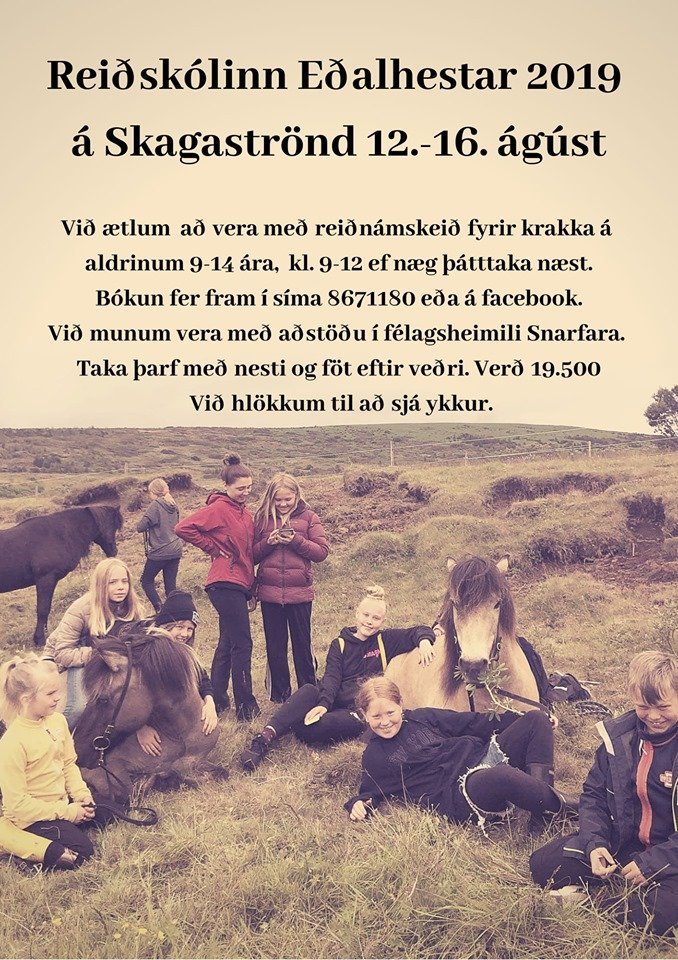 Reiðnámskeið á Skagaströnd