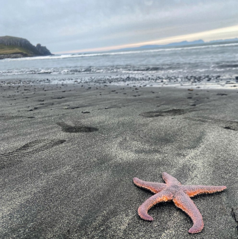 Lokað á skrifstofu sveitarfélagins á morgun föstudaginn 11. mars