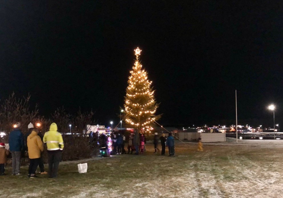 Kveikt á jólatrénu á Hnappstaðatúni