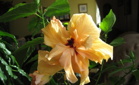 Ljósmynd: Ólafur Bernódusson